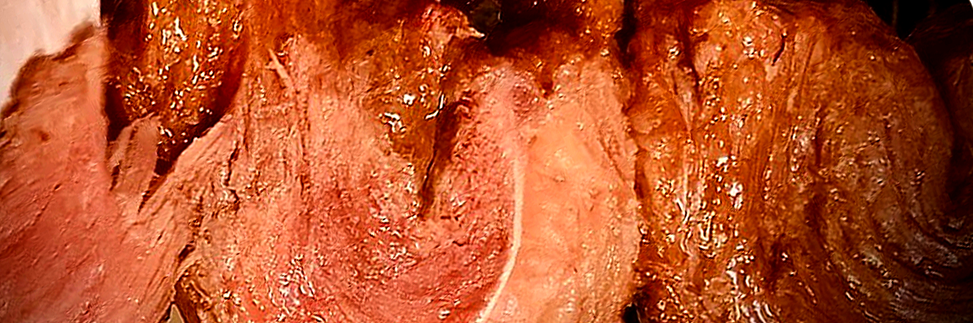 Santa Rosa Churrascaria