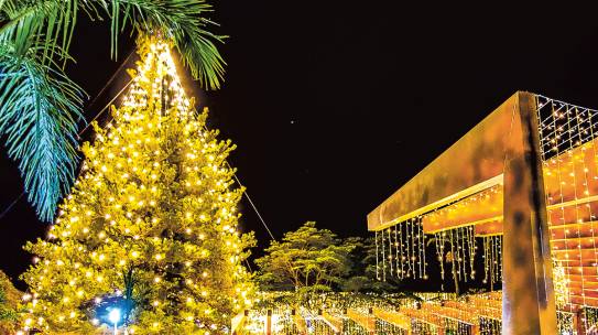 “Natal Encantado” de Tatuí tem início neste sábado
