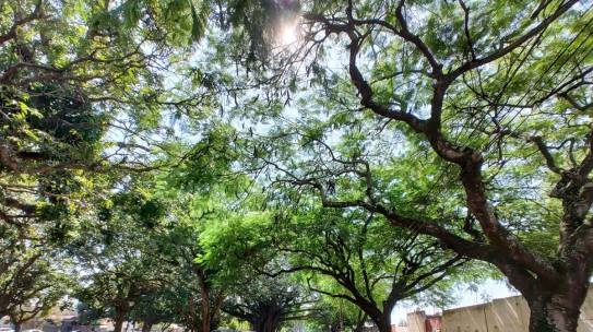 Programa Município VerdeAzul destaca a “eficiência” de Tatuí