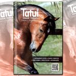 Autoridades municipais reconhecem relevância do Guia ‘Cidade Ternura’