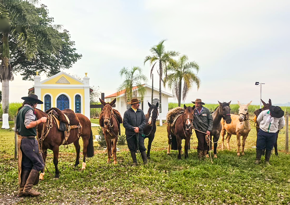 Marco de Tatuí, Capela de São João do Bemfica é revitalizada